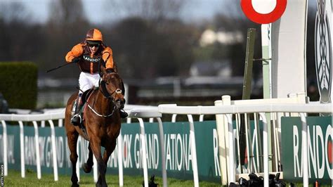Cheltenham Festival 2023: What are the new whip rules for .